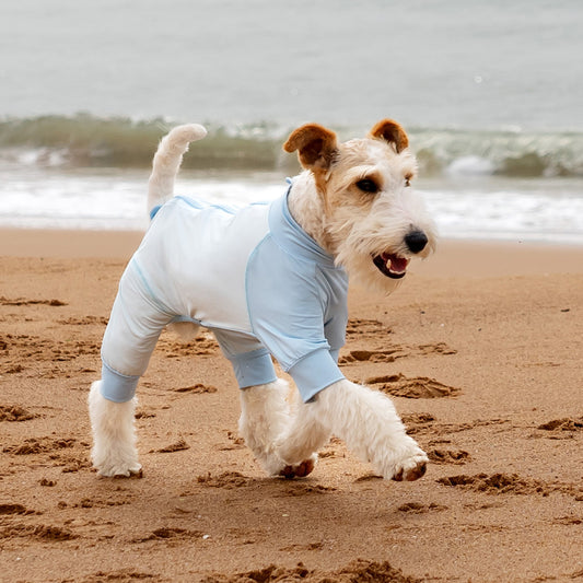 Cooling Summer Dog Shirt - UV Protection & Breathable Mesh for Beach, Hiking & Outdoor Adventures