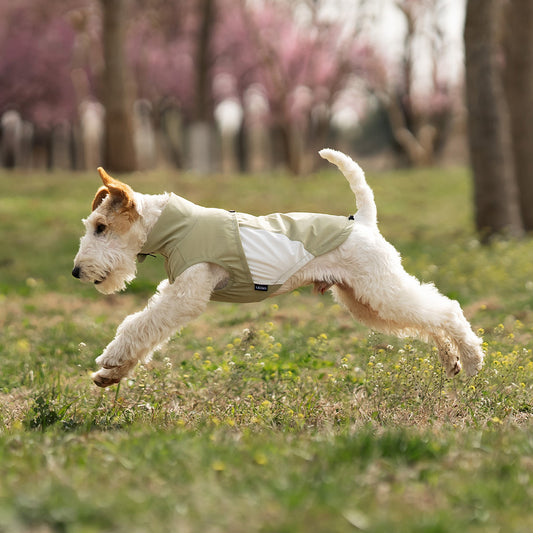 Instant Cooling Dog Clothes - Moisture Wicking UV Protection Shirts for Hot Weather Walking Hiking