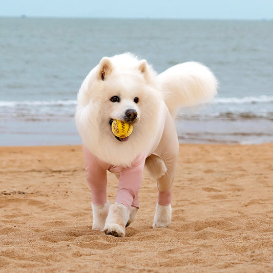 4-Leg Cooling Dog Sunsuit - UPF 50+ UV Protection & Breathable Mesh for Beach Summer Outdoor