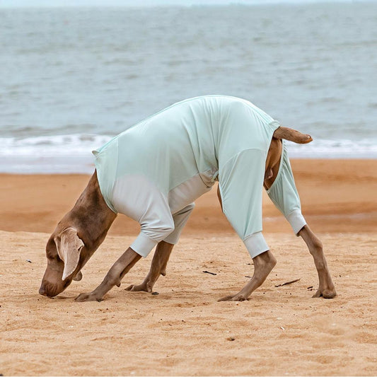 4-Leg Cooling Dog Sunsuit - UPF 50+ UV Protection & Breathable Mesh for Beach Summer Outdoor