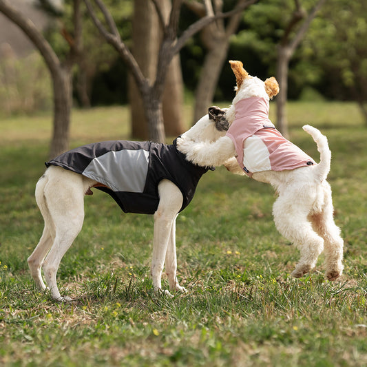 Instant Cooling Dog Clothes - Moisture Wicking UV Protection Shirts for Hot Weather Walking Hiking