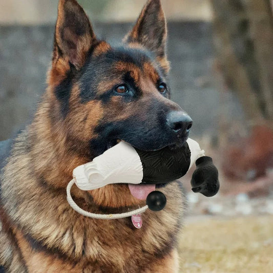 Dog Toy - Outdoor Recall Training Duck