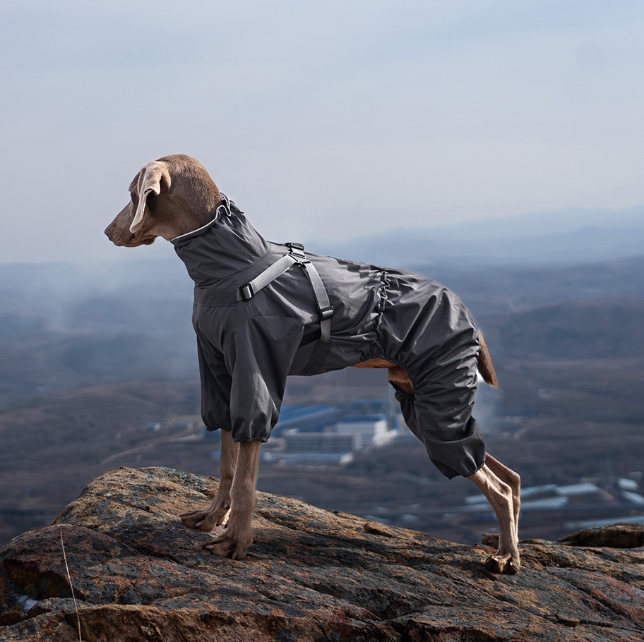 Dog Apparels